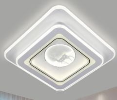20405